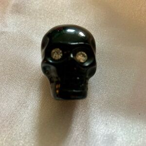 Black Skull Magnet